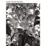 Sandra Mendo González tiene a la venta su nueva obra: El mérito de existir